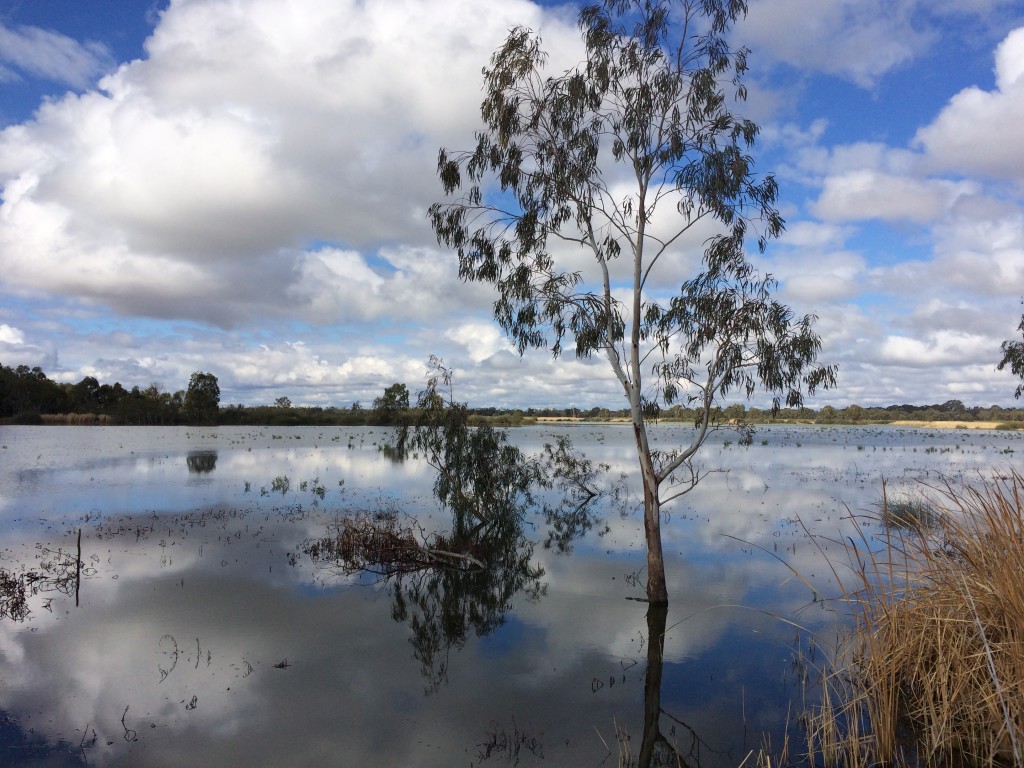 A trip to Banrock Station Wetland Complex offered water and wine (Photo: Adam Gerace).